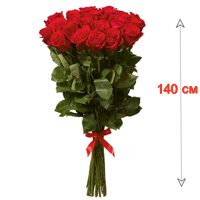 Роза гигант Эквадор - 140 см.