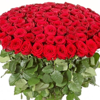 Букет из 101 красной розы из Эквадора